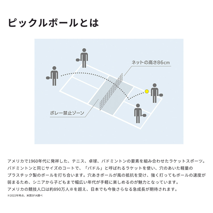 EZONE ピックルボール用パドル. PCL-01EZYX 詳細画像 ブルー 5