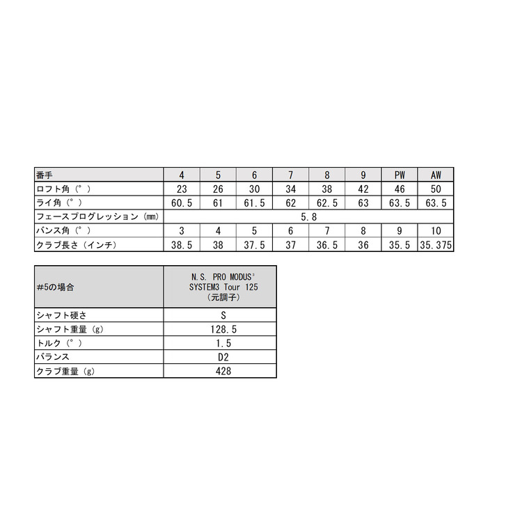 EZONE CB302アイアン5-P　スチール. C32I-5PB6 詳細画像  (000) 5